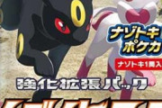 【悲報】転売ヤーさん、とんでもない量のポケモンカードを買ってしまうｗｗｗｗｗ