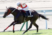 【競馬】　ひまわり賞　2歳牝馬ヨカヨカが57㎏を背負うも、圧倒的1番人気