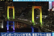 東京都庁さん、パチスロの演出みたいになってしまうｗｗ