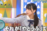 【日向坂46】ぱるが言ってた『やどうふ』ってこんな感じ？