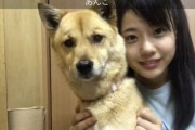♡瀧野由美子ちゃん♡あんなことあってクソ叩かれたのにめげずにSR続けてるのすごいよな