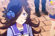 【ウマ娘】正直、ライスが一番気の毒だと思っている