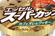 【悲報】エッセルスーパーカップ、抹茶味の次いてクッキー味も生産終了ｗｗｗｗｗｗ