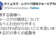 ジョージア駐日大使、決死のメッセージを発信か