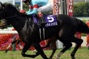 【朗報】競馬騎手さん馬よりも早くゴールしてしまうwwwwwwww