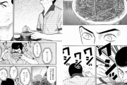 ワイ「牛丼に大量の紅生姜乗せるとかガイジか？」 敵「食べてみればわかる」