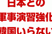 米軍「日本との訓練を強化する。もう韓国軍いらない」　さようなら…