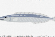 【玉筋魚】伊勢湾・三河湾イカナゴ、「２０億尾を下回ると認められた日」を終漁日とする　禁漁５年で収入見通せず