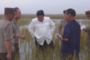 金正恩氏　田んぼの中にズボンのまま入り米をチェックする