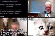 【悲報】弁護士さん、リモート裁判で猫フィルタを解除できなくなってしまう