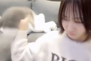 【動画】人気アイドルさん、猫虐待かどうかで大荒れ。お前らはどう思う？