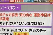 【悲報】若者「人生は運ゲー。諦めてます」