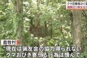 村議会「猟友会さん！熊退治は年間最大240万で一括受けして」猟友会「いやです」
