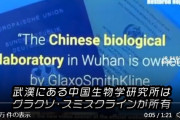 フアィザーのワクチンも、その対象ウィルスは偶然にも？武漢の生物研究所から出ている！　さらに、複数の・・偶然？が………。"偶然にも" リン・ウッド弁護士のとこで拾った動画