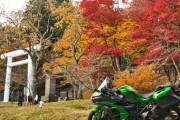 ｢レンタルバイクはこかすと修理代でめっちゃぼったくられる!｣←これｗｗｗｗｗｗｗｗ