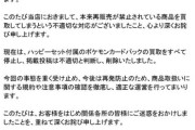 【悲報】マックコラボのポケカ、続々と買取中止へｗｗｗｗｗｗｗｗ