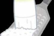 【緊急】一人暮らしの人大根おろし食いたいときどうしてる？ｗｗｗ