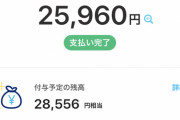 バカ「今時現金使ってる奴www時代はクレジット、電子マネーっしょw」ワイ「それ借金だぞ」