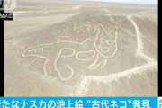 【朗報】ナスカの地上絵、さらに発見される
