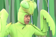 香川照之「昆虫で打線組んでみた！」