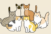 【可愛い】パターンは2億以上！猫のイラストを作成できる『うちのこメーカー』が登場！