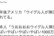 【悲報】Twitterの識者「日本人て最近急にウイグル可哀想！中国許さん！言い始めてキモい」