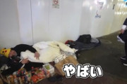 【悲報】元迷惑系へずまりゅう、ホームレスなのに女子大生を抱いてしまう…