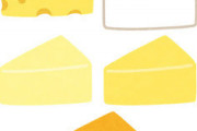 【悲報】溶けたチーズ好きだけどそれ以外嫌いって奴ｗｗｗｗｗｗｗｗｗ