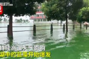【中国】安徽省、道路が冠水し大量の藻が発生　街が緑色に染まり腐臭が漂う　三峡ダムの洪水被害で