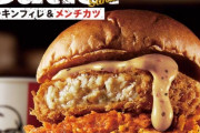 【画像】ケンタッキーさん、ハンバーガーの常識を覆してしまうｗｗｗｗｗｗ
