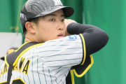 阪神　「一軍でも３割近く打てる」高木豊氏が虎２０歳捕手・中川勇斗の来季ブレークに太鼓判