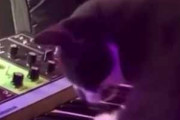 猫がシンセサイザーの前にやってきた。気分転換に弾こうかな♪ → 猫、天才です…
