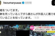 【悪質】へずまりゅう、日テレのインタビューで「外国人は鹿にフレンドリー」と個人の感想を述べただけの奈良市民にThreadsで「嘘ついてる！」と支持者に犬笛  →誹謗中傷の嵐