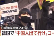 【ええ…】韓国人『中国人出て行け』デモが始まる