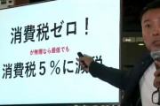 【れいわ】山本太郎さん、７０代のおばあちゃんに完全論破されてしまうｗｗｗｗｗｗｗｗｗｗｗｗｗ
