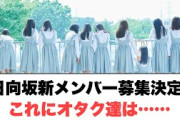 日向坂46新メンバー募集決定！これにオタク達は……[日向坂46]