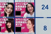 【画像】都知事選ポスターでセクシー女性の「私の可愛い政見放送を見てね」の案内と共にQRコードが　→　実際にアクセスした結果ヤバいことにｗｗｗｗｗ