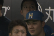 【悲報】日ハム杉谷拳士さん、走塁でやらかしてしまう