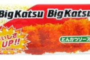 ビックカツとかいう駄菓子wwywv