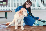 【乃木坂46】北野日奈子がワンちゃんとリラックスタイム！！！