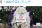 【悲報】ラグビーを盛り上げようとしたテレビ局さん、事故るｗｗｗｗｗ（画像）