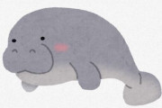 【画像】マナティ、ペットすぎるｗｗｗｗｗｗｗ