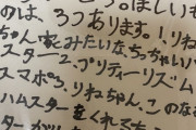 岡本姫奈ちゃん、サンタさんへの注文が多すぎるｗｗｗ【乃木坂46】