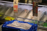 デコライトよりお高い秋刀魚・・・