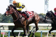 【競馬予想】第57回福島記念(G3) /2021