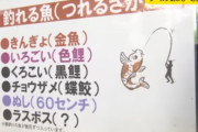 【酷すぎ】岐阜県土岐市の釣り堀、泥棒に電気配線を切られ魚3000匹死ぬ・・・店長が号泣して訴え「5年間大事に育ててきた。これはやっちゃいかん」