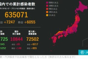 【悲報】日本､新型コロナ新規感染者7247人　13道県で過去最多