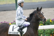 【悲報】武豊さん、この3日開催で0勝、9月わずか1勝の地獄www