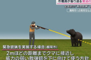 鶴岡市「市街地でクマを撃つ場合は2mまで近づいて弱装弾で撃ち殺してね」