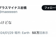 【悲報】プラスマイナス岩橋「まだあるけどな」